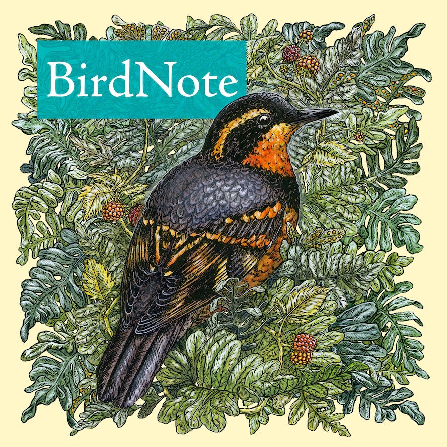 BirdNote's Daily Podcast