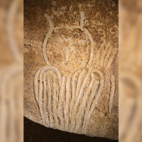 Cave painting shows outline of owl