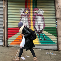 Two Burrowing Owls painted on a business's security fence with their heads tilted, and a person walking past on the sidewalk