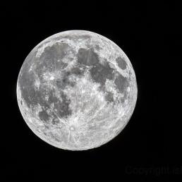 A clear view of the full moon in a black sky