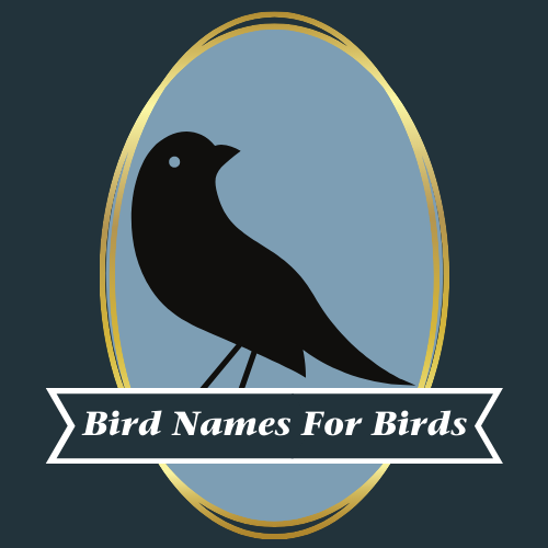 Bird Names for Birds Logo