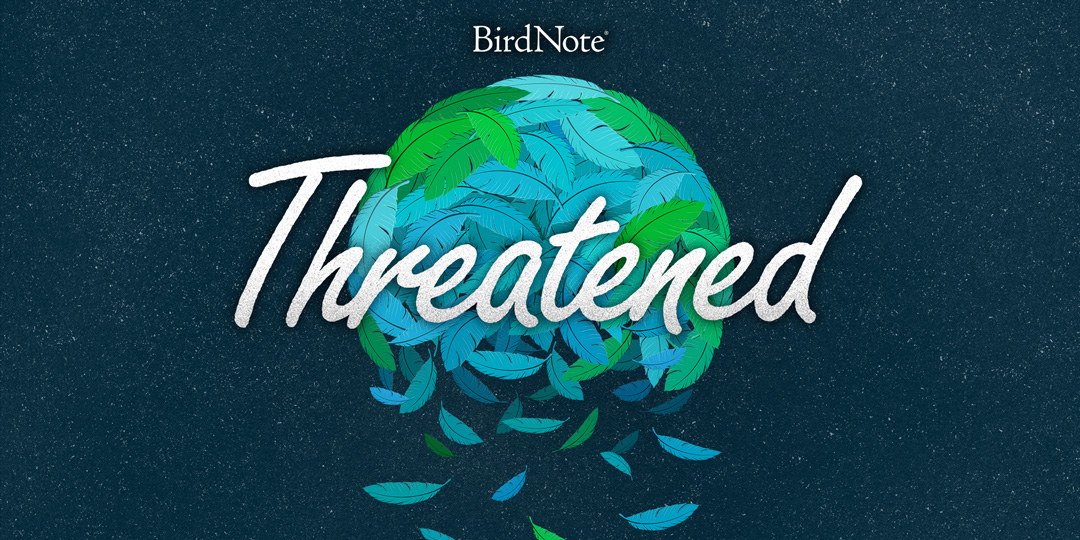 threatened-birdnote