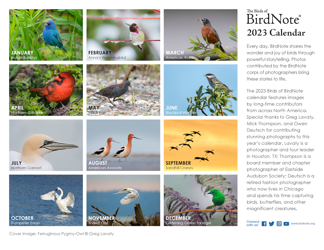 The 2023 BirdNote Calendar BirdNote