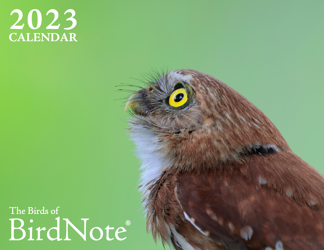 The 2023 BirdNote Calendar BirdNote