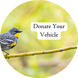 A Yellow-rumped Warbler is perched on a branch with the text "Donate Your Vehicle"