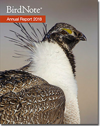 2018 Annual Report