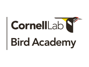 Cornell Lab - Bird Academy