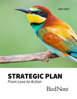 BirdNote Strategic Plan