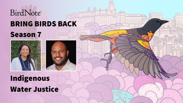Bring Birds Back Season 7 Episode 3 Bring Birds Back Season 7 Episode 3 with Dr. Kelsey Leonard