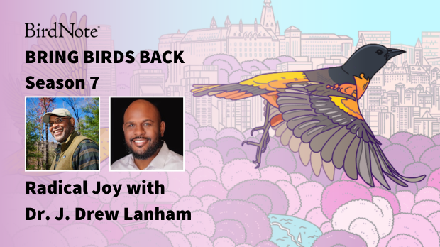 Bring Birds Back Season 7 Episode 6 The Bring Birds Back logo for Season 7 is accompanied by an image of guest, Dr. J. Drew Lanham and interviewer, Billy Almon