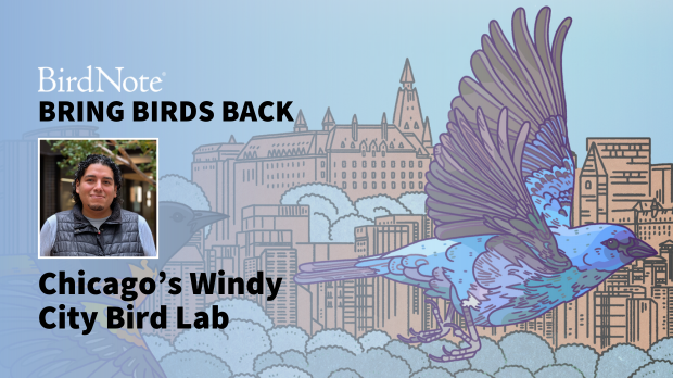 Bring Birds Back Season 8 Episode 2