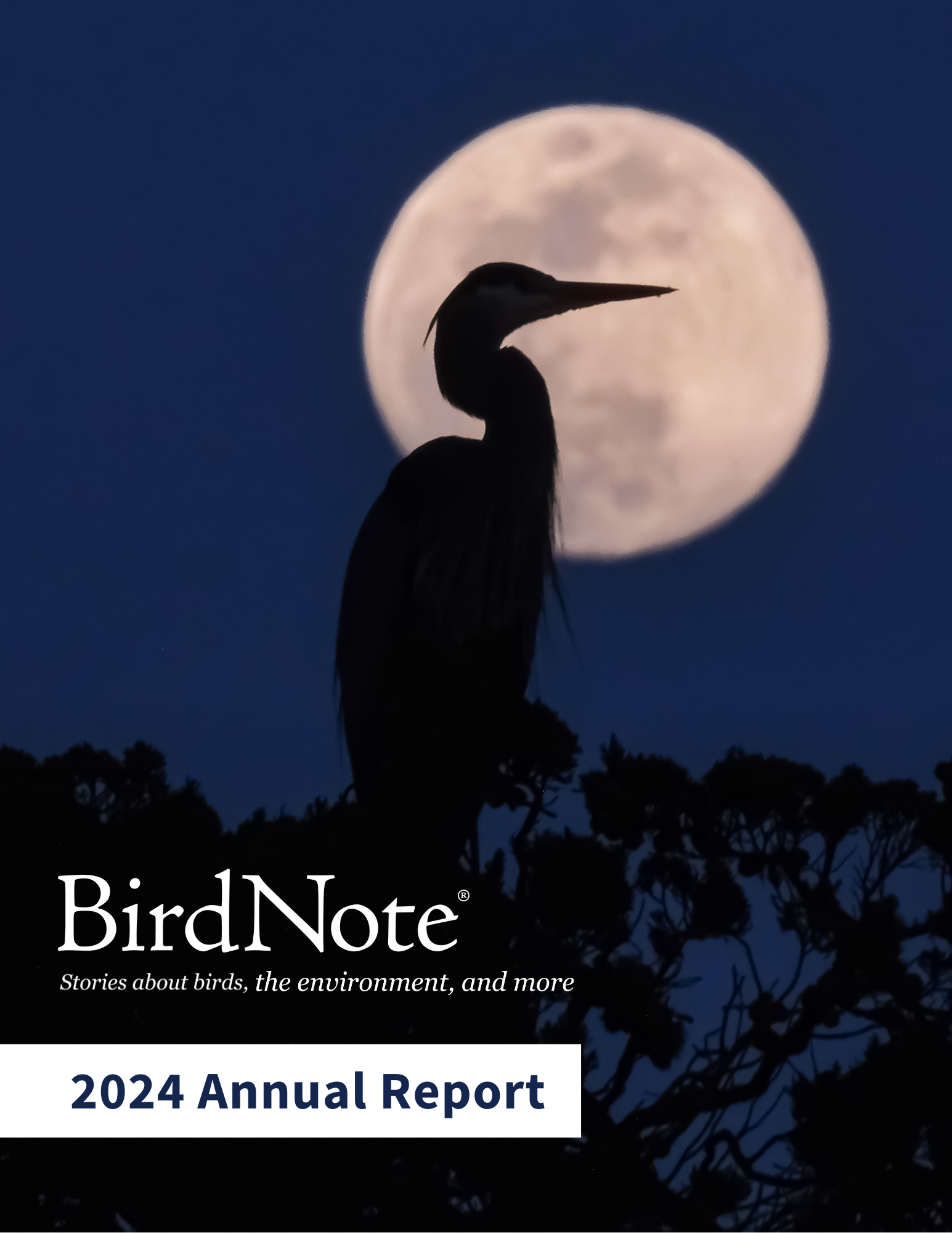 2024 BirdNote Annual Report Cover