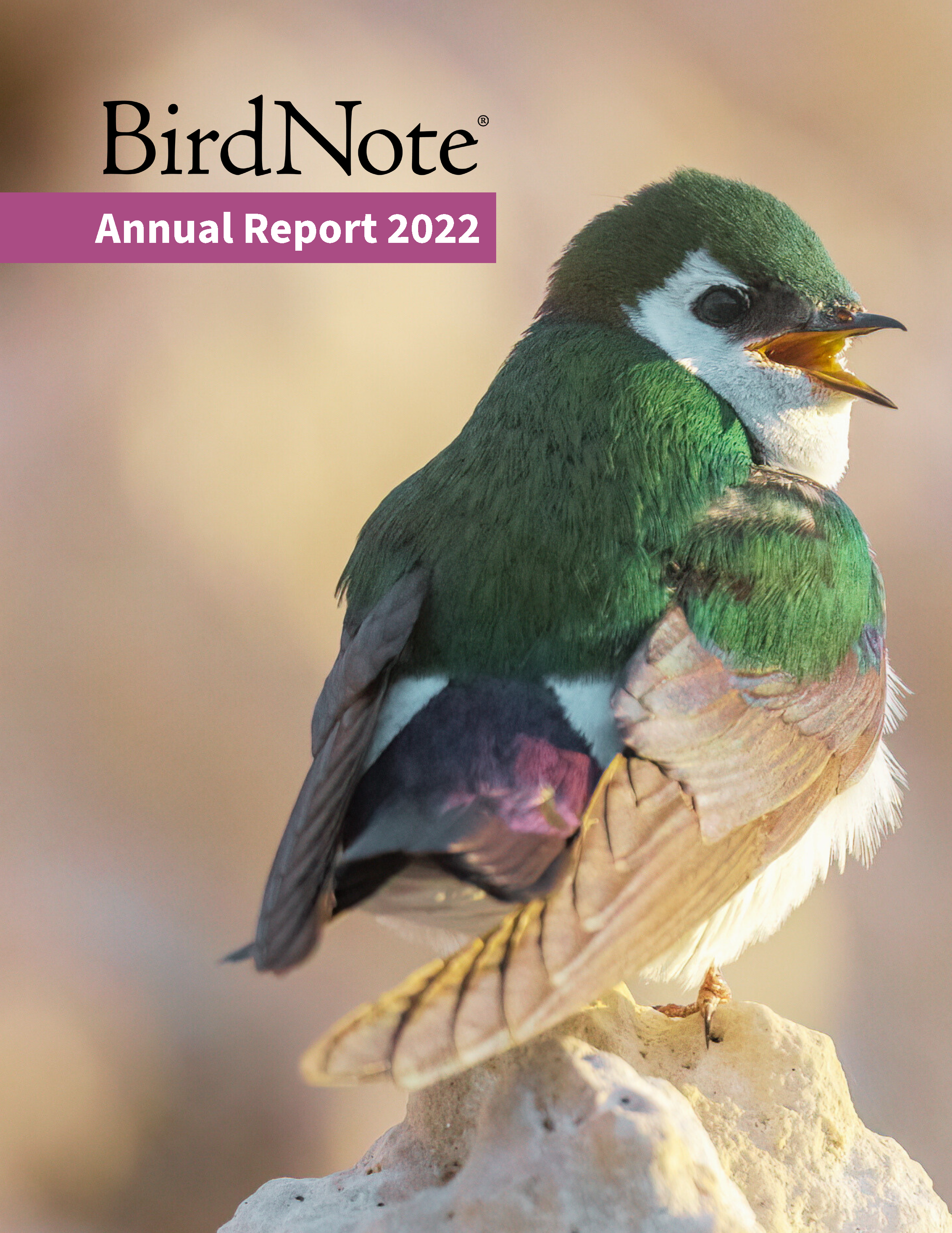 2022 BirdNote Annual Report Cover