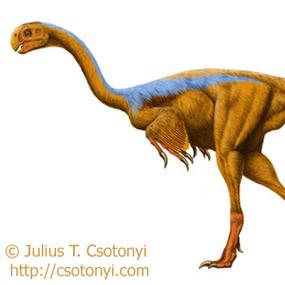 Gigantoraptor | BirdNote