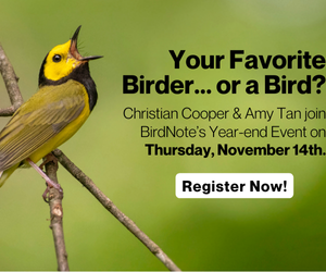 Join Christian Cooper & Amy Tan at BirdNote's Year-end Event on Thursday November 14th - Register Now!