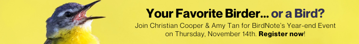 Join Christian Cooper & Amy Tan at BirdNote's Year-end Event on Thursday November 14th - Register Now!