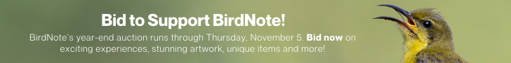 Bid to Support BirdNote! BirdNote's year-end auction runs through Thursday, November 5th. Bid now on exciting experiences, stunning artwork, unique items and more!