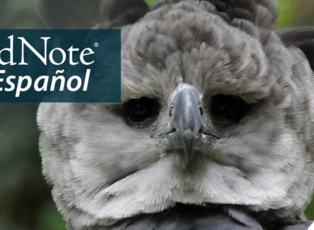 A Harpy Eagle looks directly at the camera. "BirdNote en Español" appears in the upper left corner.