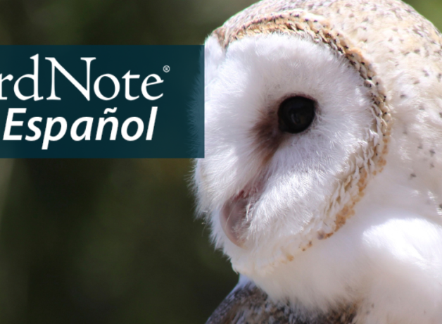 A Barn Owl looks to the left. "BirdNote en Español" appears in the upper left corner.