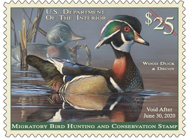 Duck Stamp Artists BirdNote