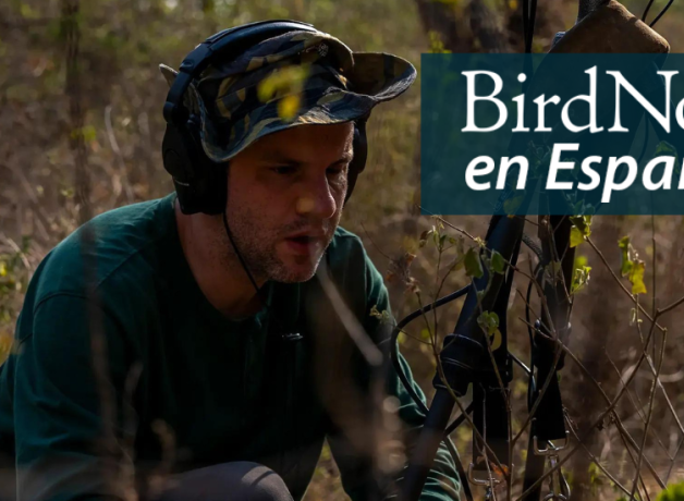 Juan Pablo Culasso kneels to work on a tripod with recording equipment in the field