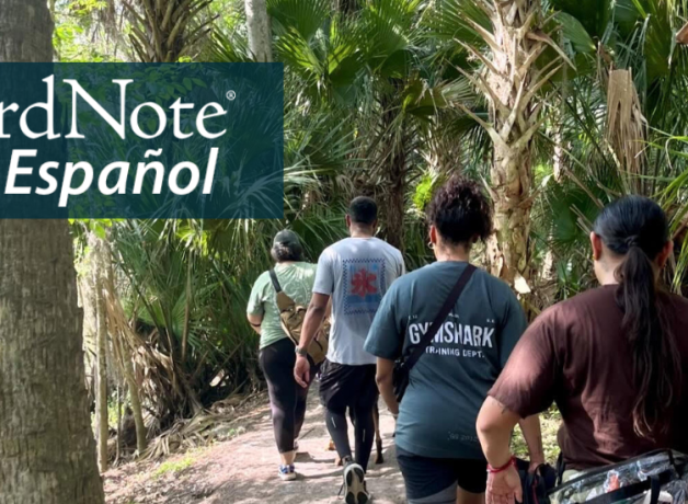 A group of hikers walking through a forest in Florida, seen from behind