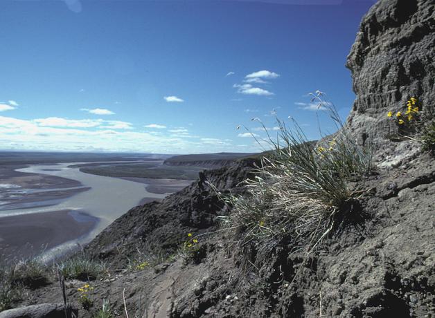 Arctic National Wildlife Refuge