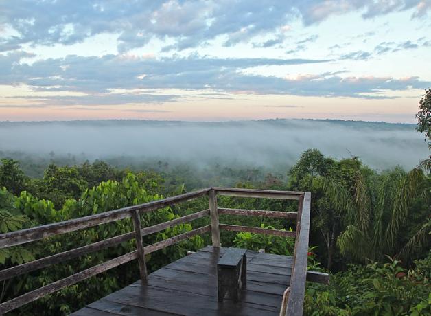 View overlooking an area of Amazon jungle