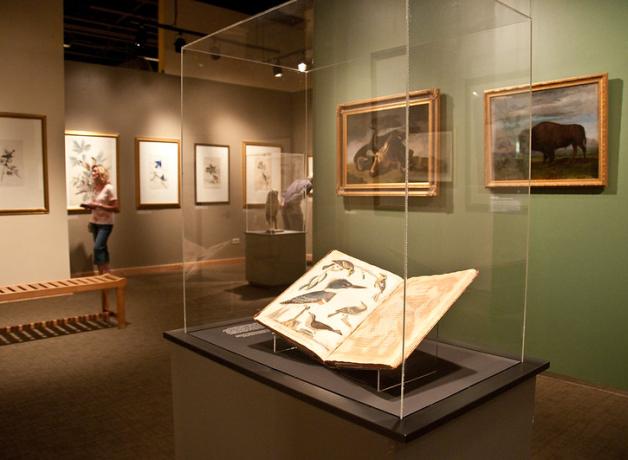 John J. Audubon's printed material on display in a clear case at Longmont Museum.