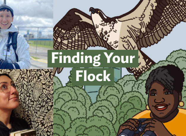 A graphic with the Bring Birds Back artwork on the right side, a headshot of Kasia Chmielinski in the top-left corner, and a photo of Jeana Fucello in the bottom-left corner.