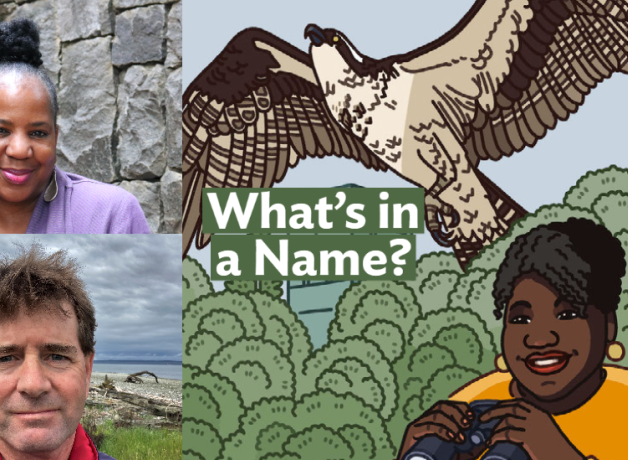 A graphic with the Bring Birds Back artwork on the right side, a headshot of Caroline Brewer in the top-left corner, and a photo of Steve Hampton in the bottom-left corner.