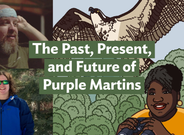 A graphic with the Bring Birds Back artwork on the right side, a headshot of Joe Siegrist in the top-left corner, and a photo of Kieran MacDonald in the bottom-left corner.