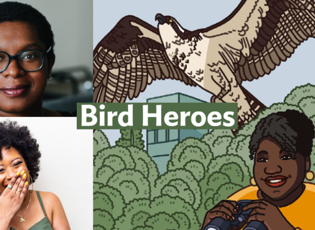 A graphic with the Bring Birds Back artwork on the right side, a photo of Ashley C. Ford in the top-left corner, and a photo of Tracy Clayton in the bottom-left corner.