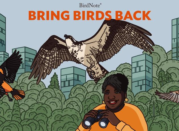 Illustration of a Baltimore Oriole, Osprey and American Tree Sparrow flying over our host, Tenijah Hamilton, smiling and holding binoculars, against a background of trees and tall buildings