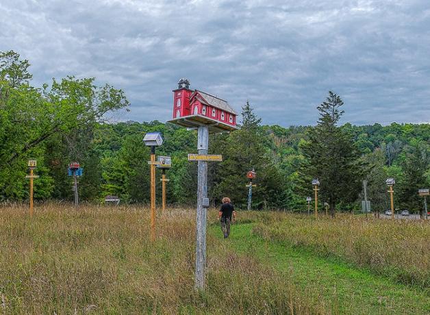 A field in eastern Ontario with numerous brightly-colored custom birdhouses on tall poles. 