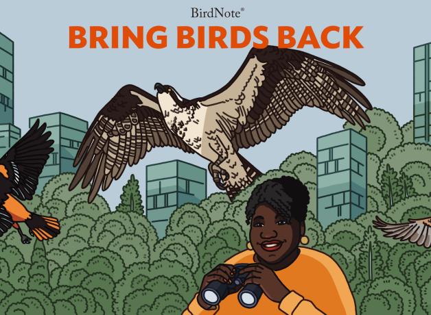 Illustration of a Baltimore Oriole, Osprey and American Tree Sparrow flying over our host, Tenijah Hamilton, smiling and holding binoculars, against a background of trees and tall buildings