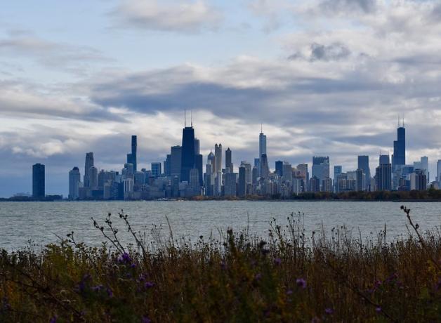 Chicago skyline beneath a partly cloudy sky, seen from The Magic Hedge at Montrose Point Bird Sanctuary