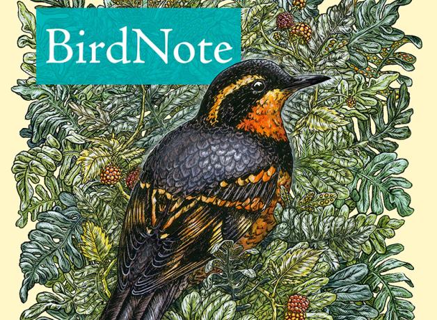 BirdNote logo, an illustration of Varied Thrush against greenery with the word BirdNote on a blue bar 
