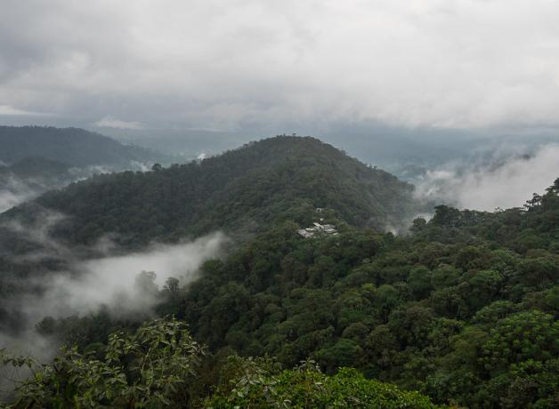 Cloud forest in Ecuador, showing green hills and drifts of clouds around them