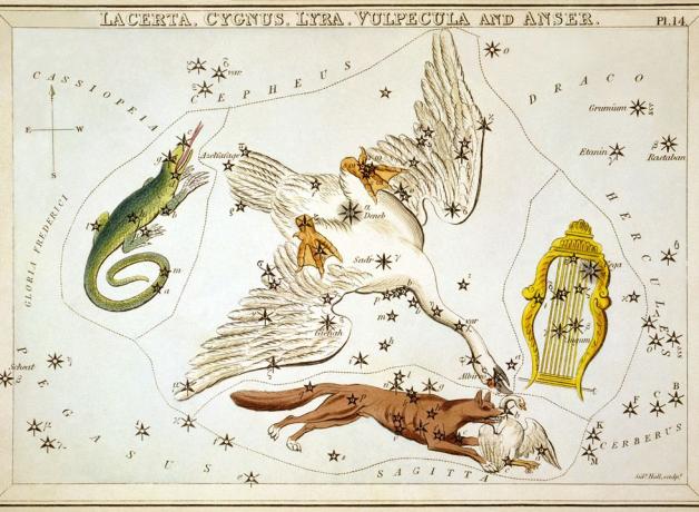 Cygnus constellation show in illustration from 1825