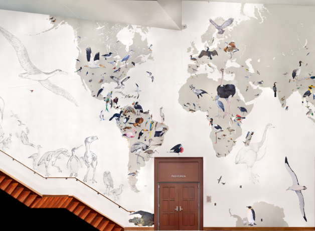 A full view of the Wall of Birds mural by Jane Kim at the Cornell Lab of Ornithology.