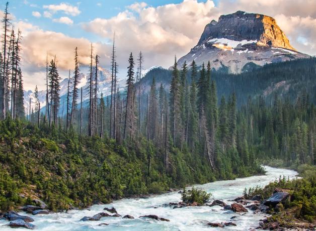 Yoho National Park at Sunrise