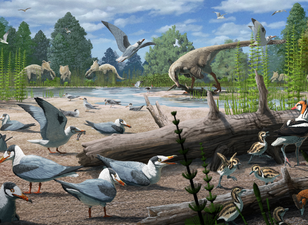 An illustration of Cretaceous Period birds with other dinosaurs from the same time period in the background.