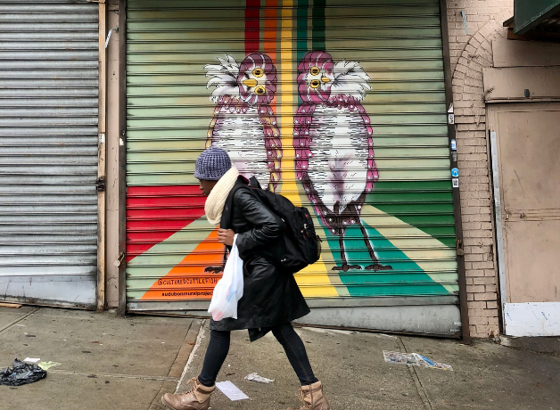 Two Burrowing Owls painted on a business's security fence with their heads tilted, and a person walking past on the sidewalk
