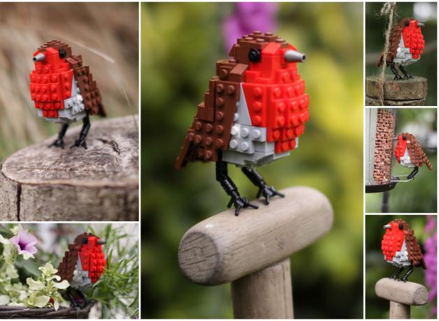 Composite of several photos of small bird with brown back and red breast, each created from LEGO bricks.