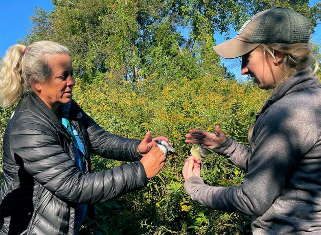 Two women face each other, each holding a small bird in their hands. Lisa Kizuik is on the left of the image.