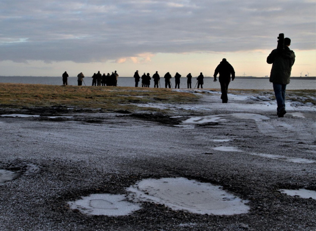 About a dozen photographers line up on a beach at sunrise to capture photos of birds