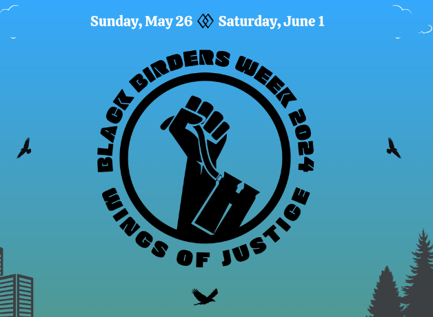 Illustration with the Black Birders Week logo, an upraised fist holding binoculars, with the 2024 theme and info, blue sky, trees and buildings behind