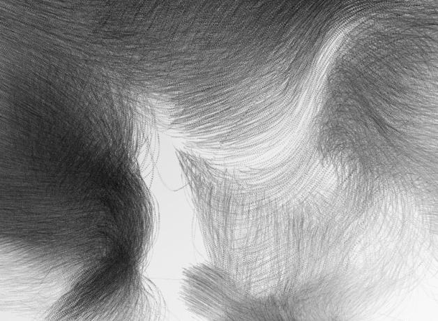 Black and white photo composite showing the traceries of European Starlings in flight