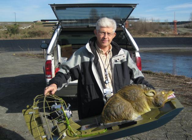 Wildlife biologist Steve Osmek with coyote model on remote-controlled airboat